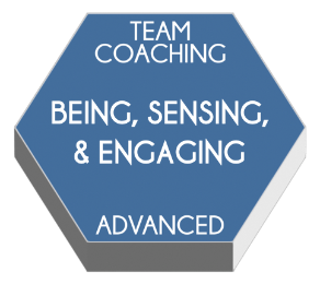 Team Coaching Model: Being, Sensing, Engaging  | ADVANCED LEARNING LAB IN TEAM COACHING