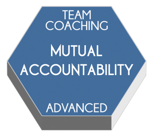 Integrating Mutual Accountability Into Team Coaching | ADVANCED TEAM COACHING TRAINING