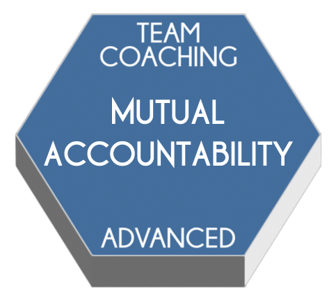 Integrating Mutual Accountability Into Team Coaching | ADVANCED TEAM COACHING TRAINING