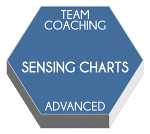 Team Coaching Sensing Charts | ADVANCED TEAM COACHING TRAINING