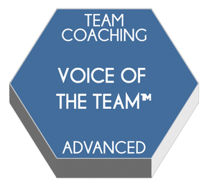Voice of the Team | ADVANCED TEAM COACHING TRAINING