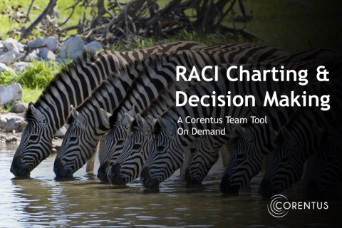 RACI Charting & Decision Making  |  A Corentus Team Tool On Demand