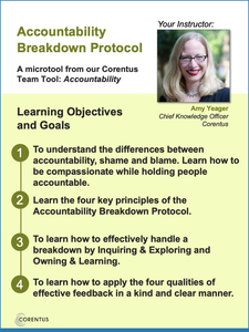 ACCOUNTABILITY BREAKDOWN PROTOCOL